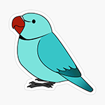 Cute fluffy blue indian ring-necked parrot cartoon drawing Sticker