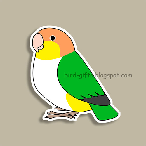 Cute fluffy white-bellied caique parrot cartoon drawing Magnet