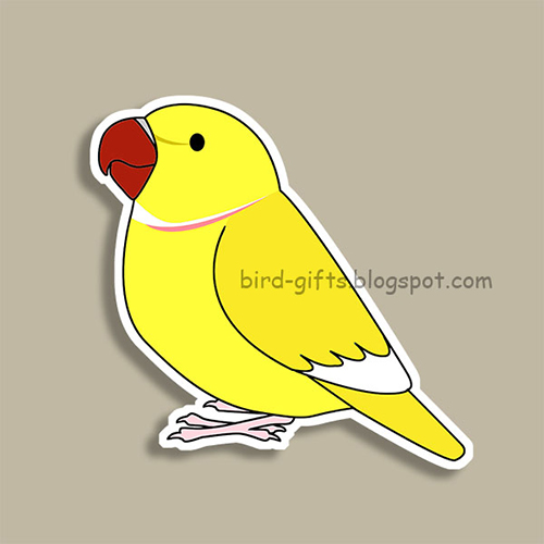 Cute fluffy lutino indian ring-necked parrot cartoon drawing Magnet