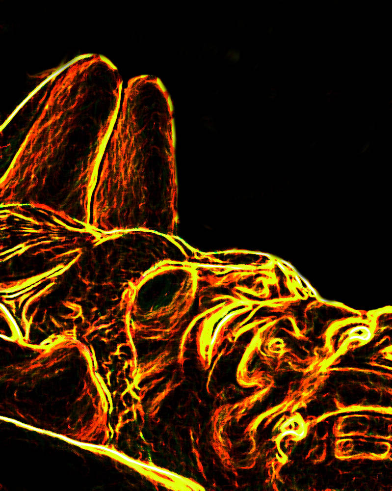 Fire Rosa by zafro on DeviantArt