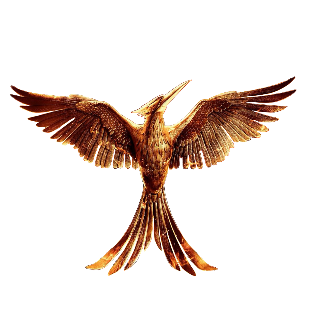 The Hunger games: Mockingjay part 1 png (No Ring) by allheartsgoboom on ...
