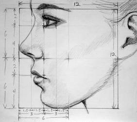 Profile Proportions