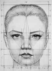 Face Proportions