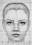 Face Proportions