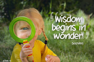 Quote - Wisdom Begins in Wonder