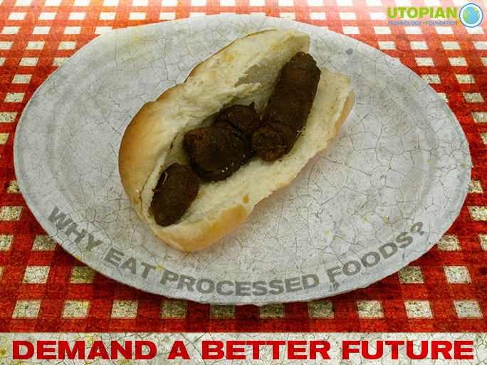 Anti-Processed Food Art: Turd Sandwich