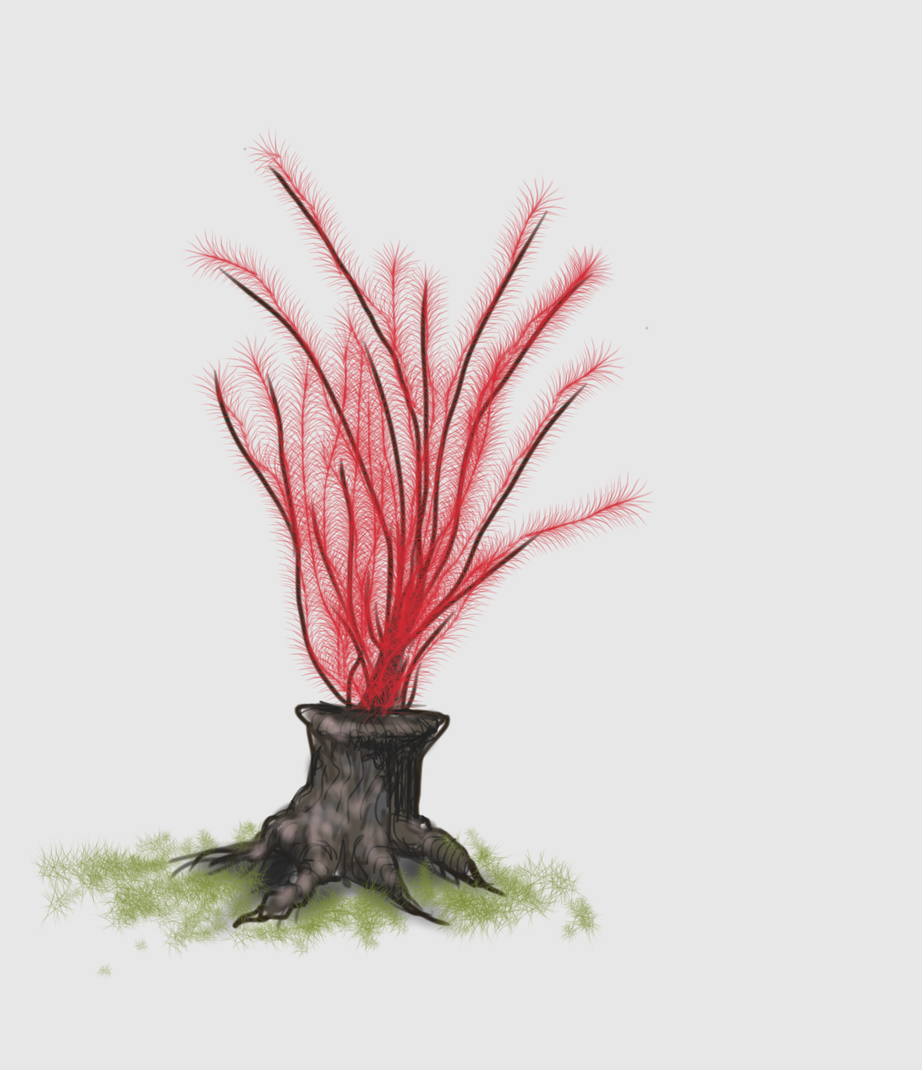 worm tree - quick sketch