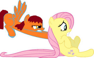 Chest Nut pushes Fluttershy around