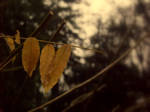 les jours tristes by PetiteReveur