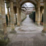 Stock - Hever Castle gardens 4