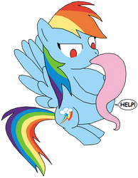 Rainbow Dash's soft snack