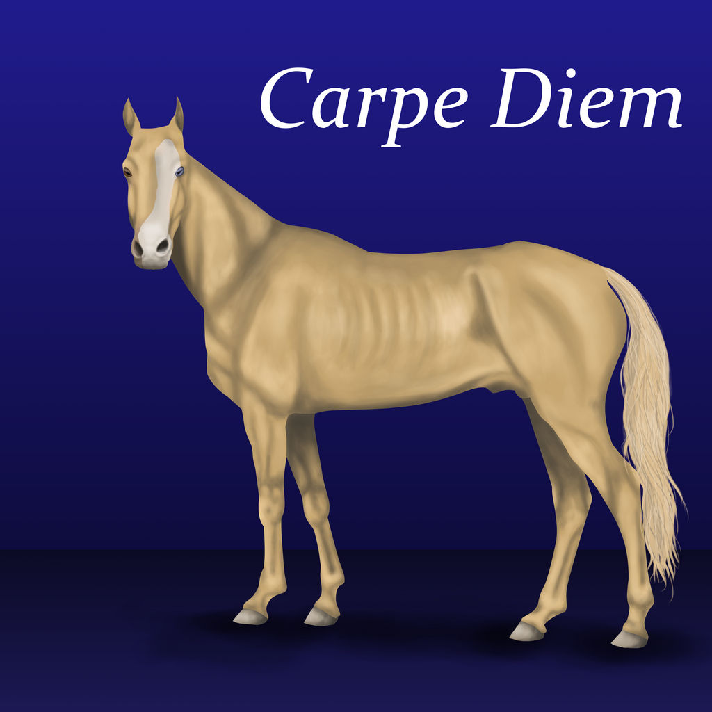 Carpe Diem ~ Reference