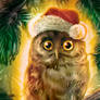 New Year owl