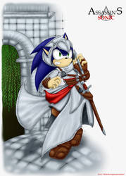 Gif: Assassin's Sonic