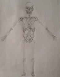 Just a Skeleton