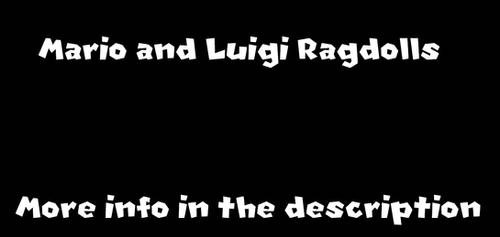 Mario and Luigi Ragdolls got Taken Down