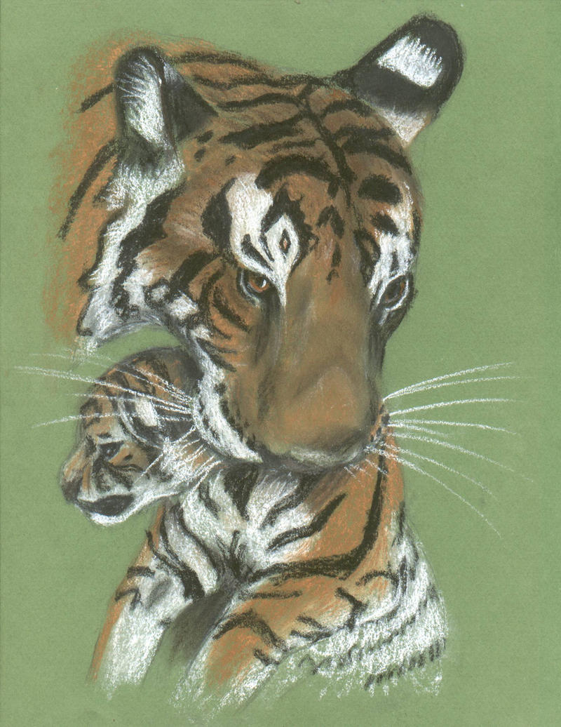 Mother Tiger in pastel