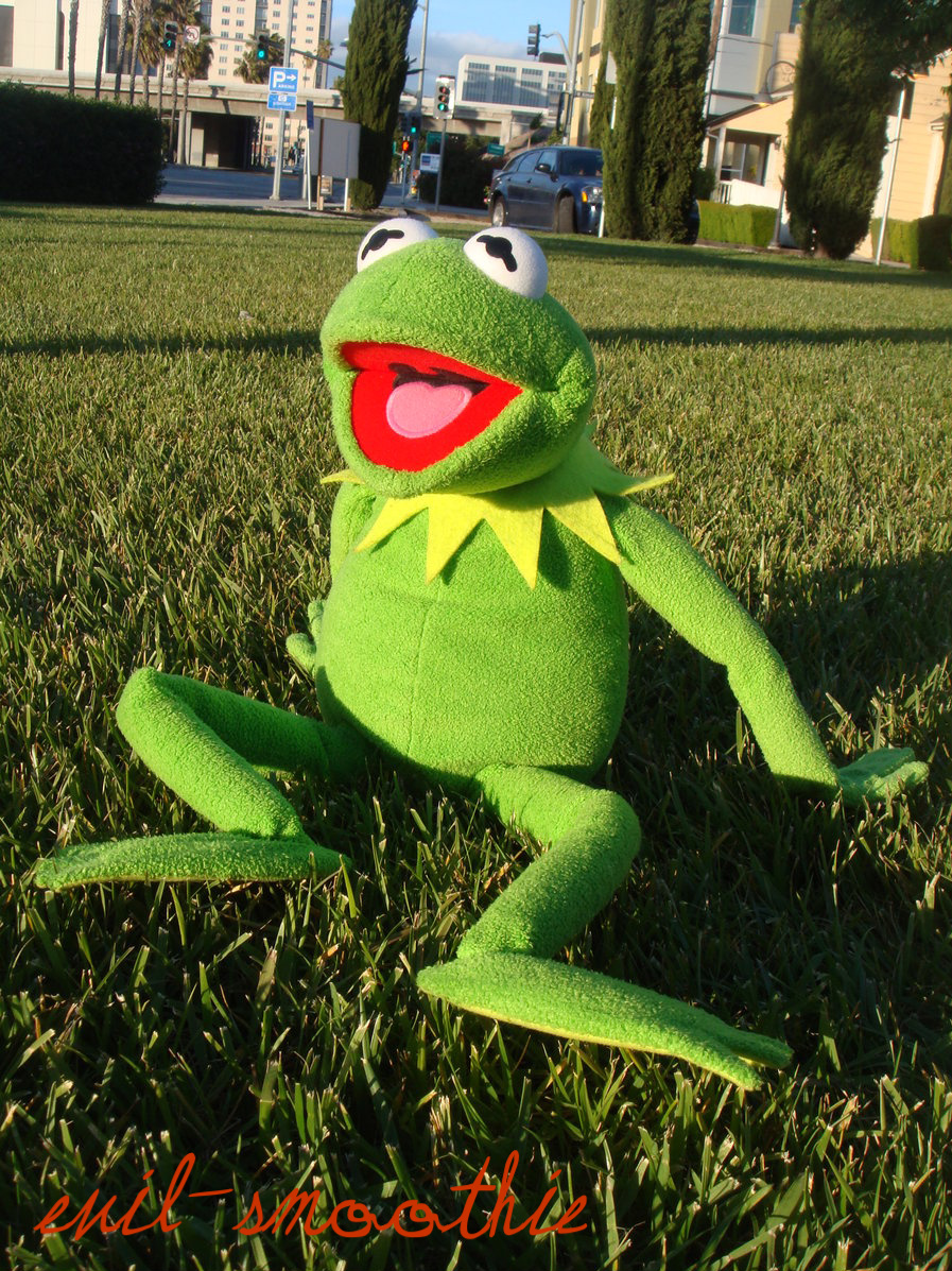 kermit chillaxing