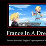 APH Demotivational - France in a Dress