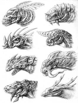 Dragon Face Sketchs 2