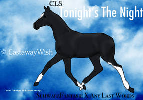 CLS Tonight's The Night