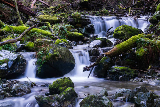 Oregon Creek