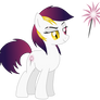 Sunset Sparkler's Official Debut