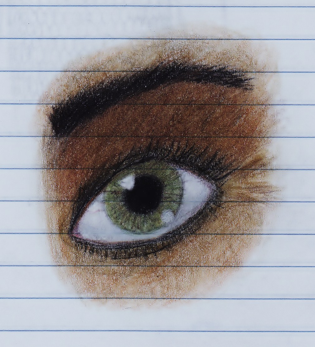 Eye