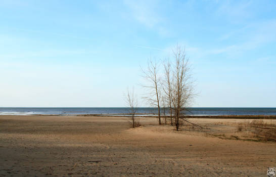 Lake Huron Beach