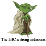 Yoda THC