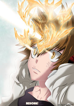 Katekyo Hitman Reborn! 402 - Tsuna