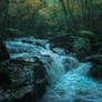 River of old oaks