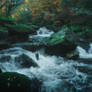 River of old oaks
