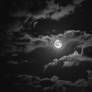 Nachtmond