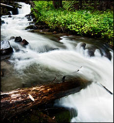 Stream in Colorado