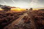 This Frozen Ground by jkrab