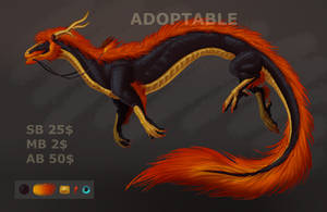 ADOPT - Male eastern dragon (CLOSED)