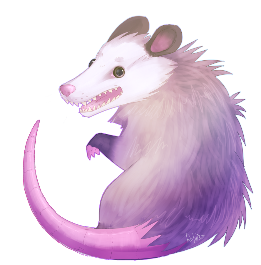 Passum Passum by Rabii3z on DeviantArt