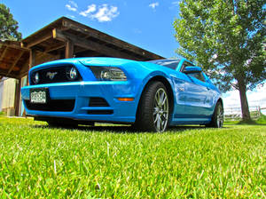 my 2013 MUSTANG GT