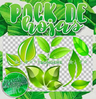 PACK DE HOJAS PNG