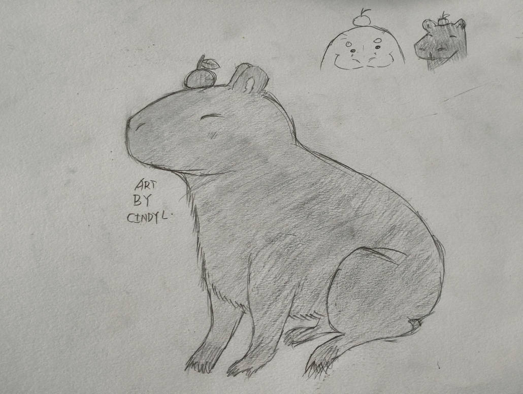 Edil Scrawl on Instagram: “#capybara #animal #animallovers #sketch