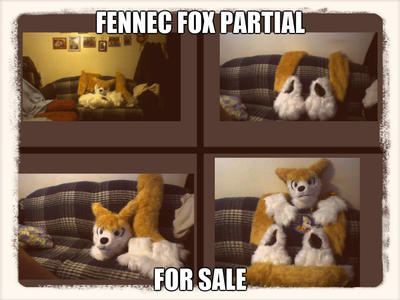 Fennec fox Partial