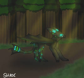 My Night Fury OC Shade