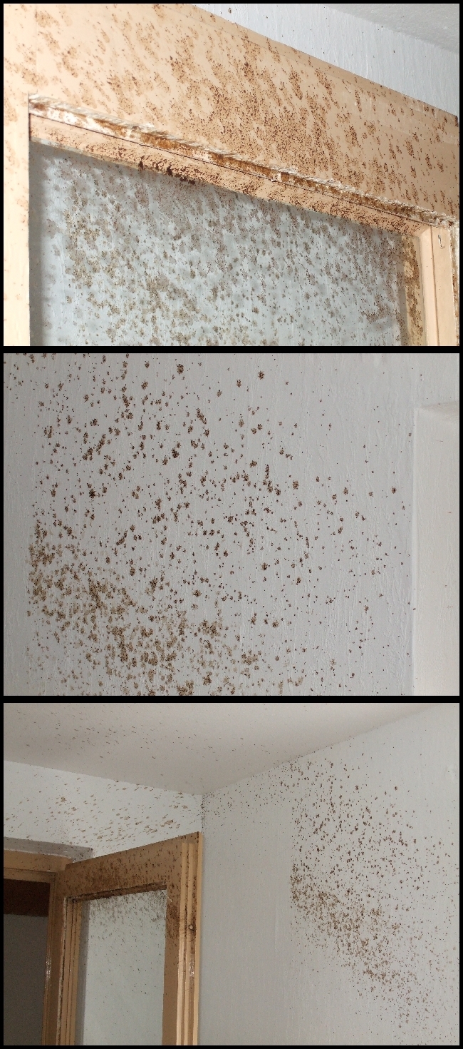 Exploded Coffeemachine by shona-gruenauge on DeviantArt