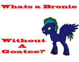 whats a bronie