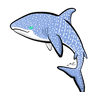 Whale Shark