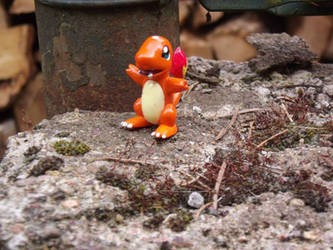 Charmander- On a rock!