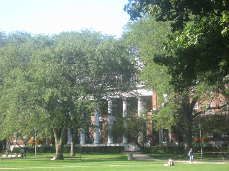 the english building