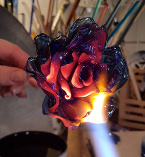 Fireborn Rose