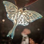 Luna Moth pendant in transluscent horn